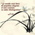 /album/frases-en-imagenes/a481248-10151324867827761-1425497331-n-copia-jpg/